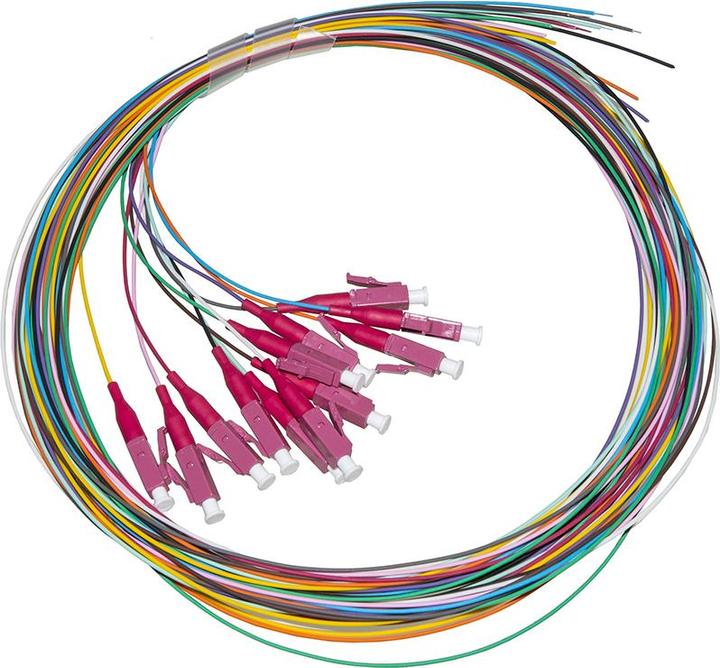 Link Pigtail Fibra Ottica Om4 Lc 2mt Simplex Confezione 12pz Colorati ...