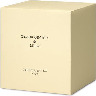 Actual product image Cereria Molla Air Freshener - Pack of 1 (600 g)