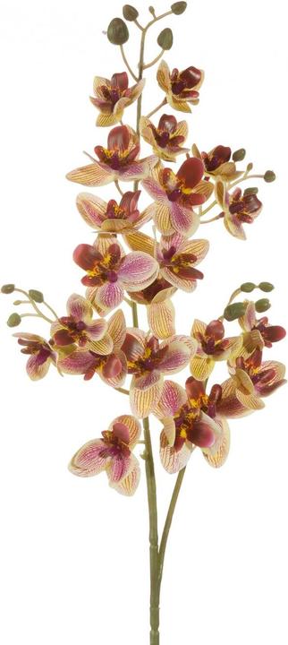 Eurofirany KW/NATU/367/GEEL+ROZE (77 cm)