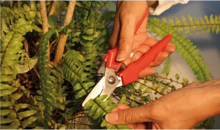 Image du produit Erdi Ciseaux 190 mm, D 48 (19 cm)