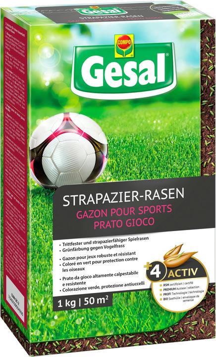 Gesal Lawn seeds (Lawn reseed)