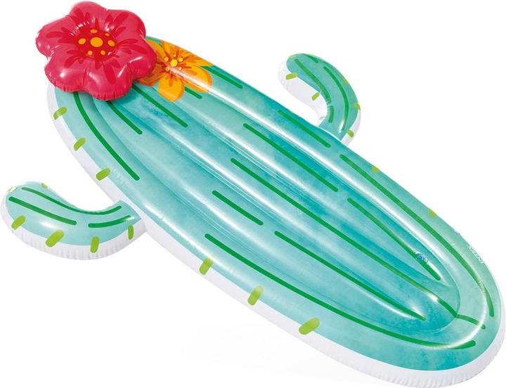 Productafbeelding Intex Cactus