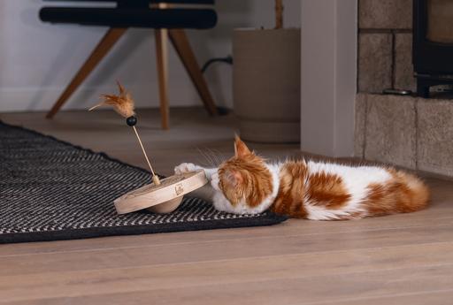 Image du produit Designed by Lotte Winni