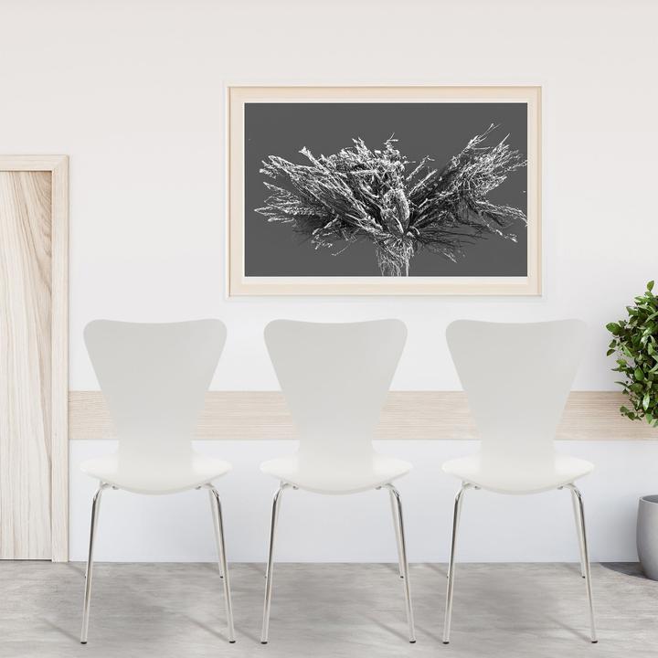 Image du produit CLP Calisto