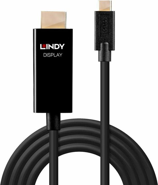 Image du produit Lindy Convertisseur d'interface vidéo (2 m)