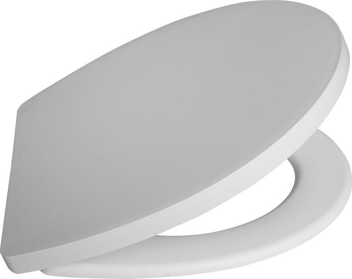 Produktbild Domoletti Wc Seat Soft Close Pp-E1