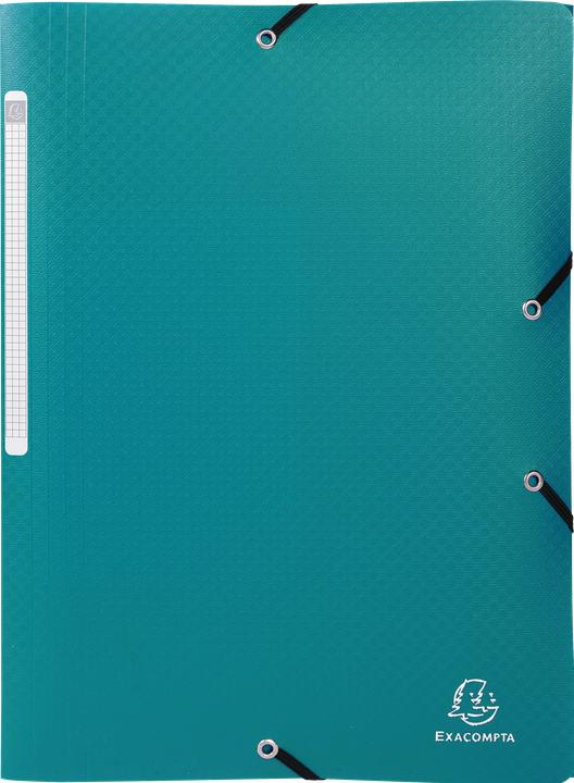 Actual product image Exacompta Collection folder with elastic band (A4)