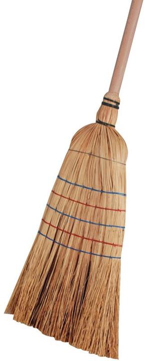 Actual product image Edi Clean Robustica (1 pcs.)