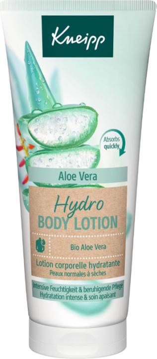 large aloe vera plant Large Aloe Vera Plant Bare root – Dose of Succulents main image 0