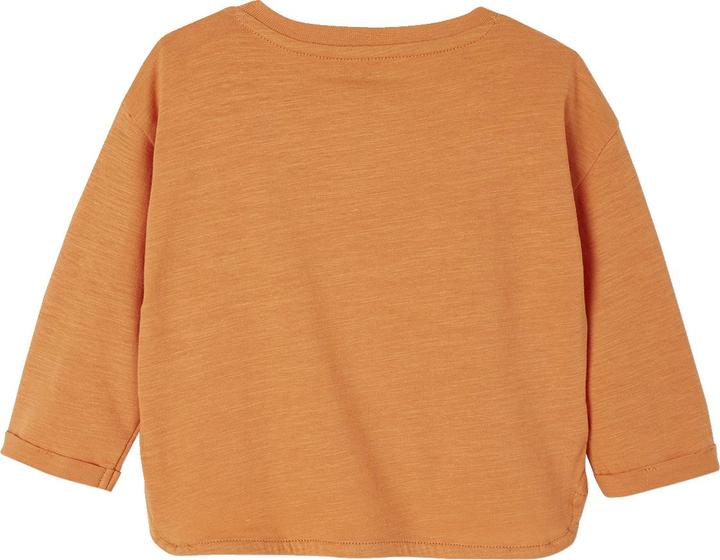 Actual product image Vertbaudet Baby Shirt mit Löwe (68)