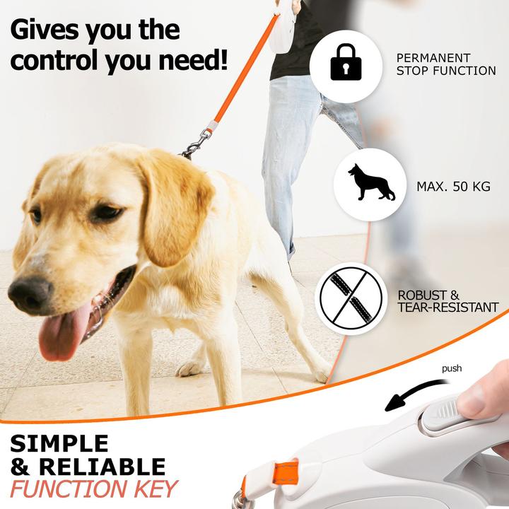 Produktbild Bluzelle Hundeleine (L, Hund, Spazieren)