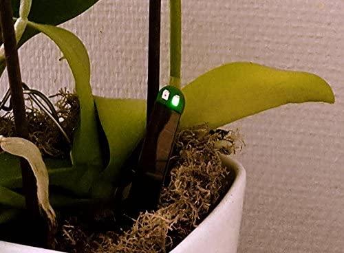 Immagine prodotto Floricus Misuratore di umidità (16 cm)