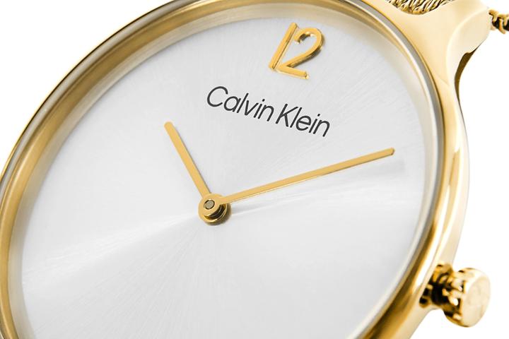 Immagine prodotto Calvin Klein Timeless Mesh Damenuhr 25200003 + BOX