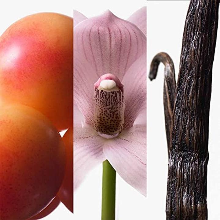 Actual product image Calvin Klein Euphoria Eau de Toilette 2023 EDT (Eau de toilette, 50 ml)