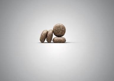 Produktbild Josera Mini Adult Lamb (Adult, 1 Stk., 900 g)