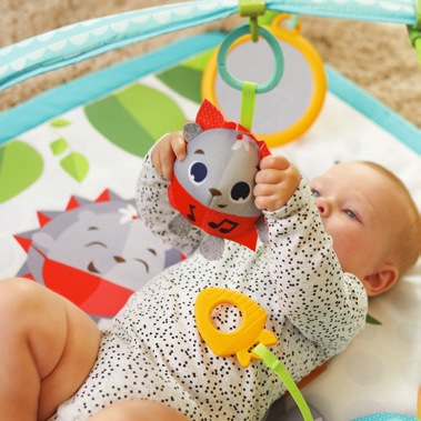 Actual product image Tiny Love Gymini Sunny Day Meadow Days
