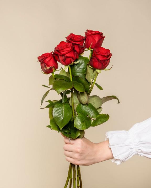 Image du produit feey Roses rouges 20 pcs (Fleurs coupées, 20x)