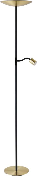 Laiton, Laiton brossé, Noir, Or