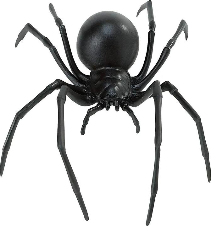 Produktbild Safari Hk Spinne Schwarze Witwe
