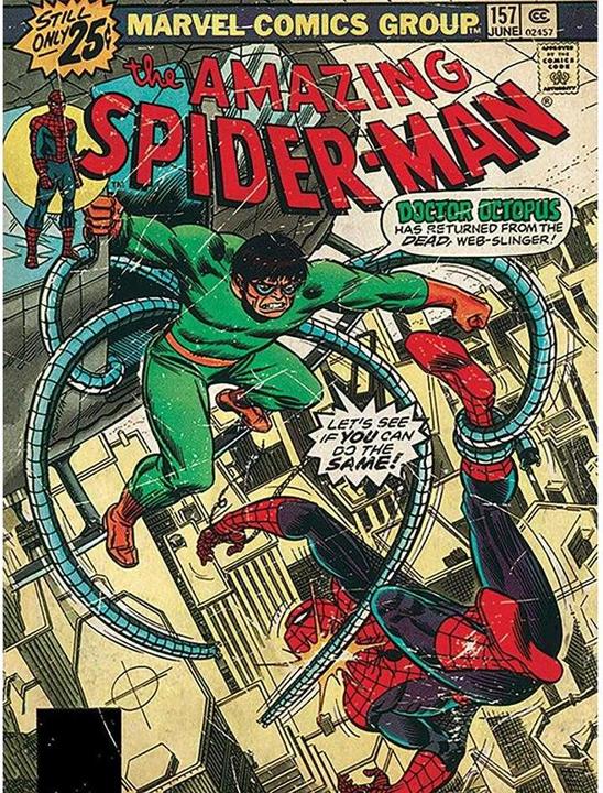 Spiderman Leinwanddruck (80 x 60 cm)