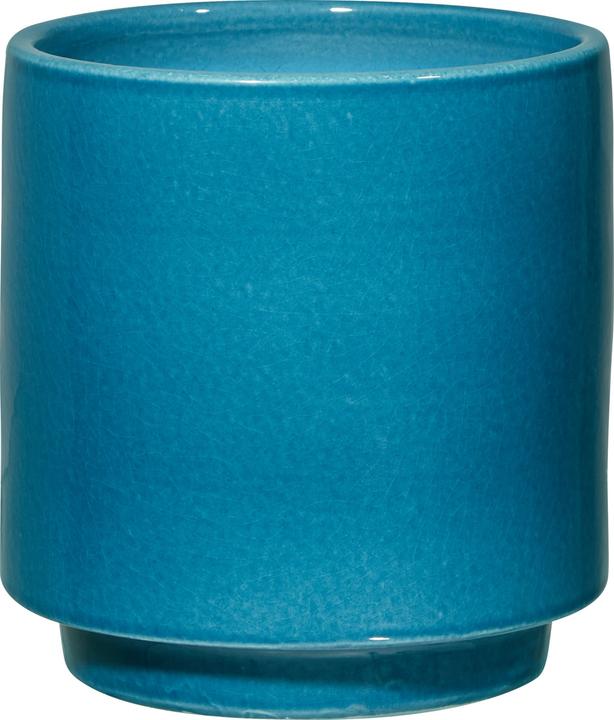 micasa Amaya (17 cm)