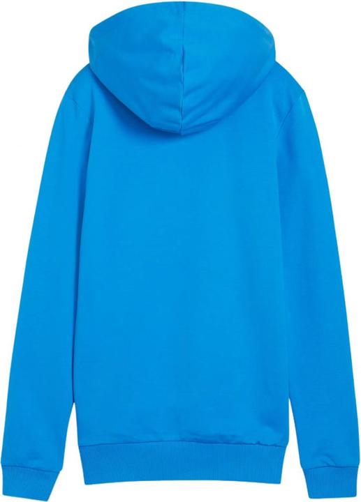 Produktbild Puma Team Goal Kapuzenpullover Leger (S)