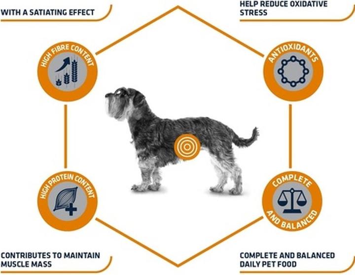 Produktbild Advance Dog Weight Balance Mini (1532 g)