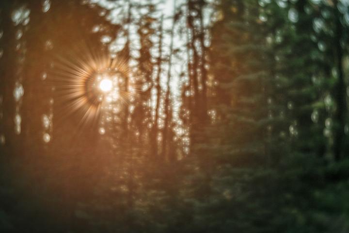 Image du produit Lensbaby Trio 28 Fuji X (Fujifilm X, APS-C / DX, Micro Four Thirds, Plein format)