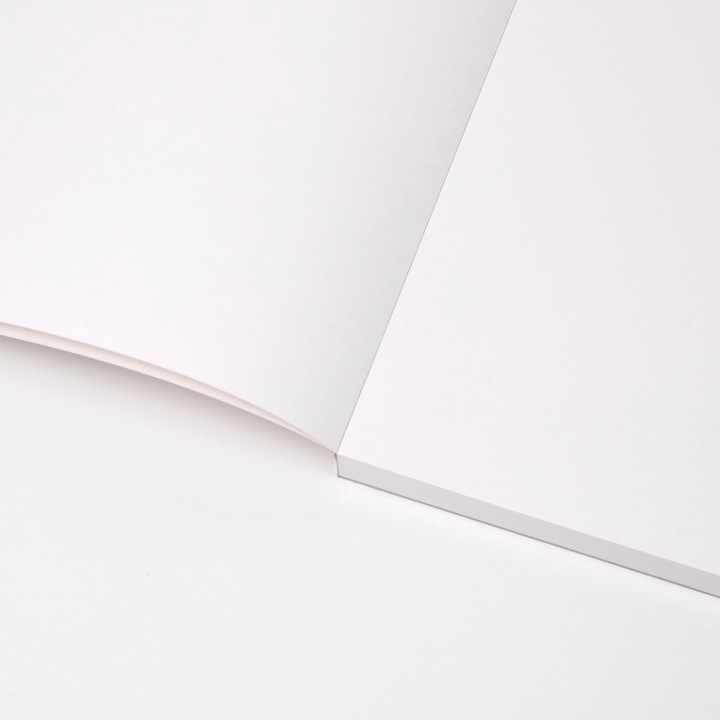 Actual product image Clairefontaine Paint ON (250 g/m², 40 x)