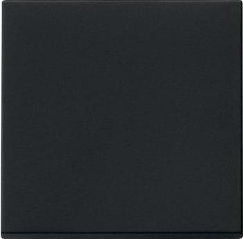 Gira Rocker 0296005 System 55 black matt