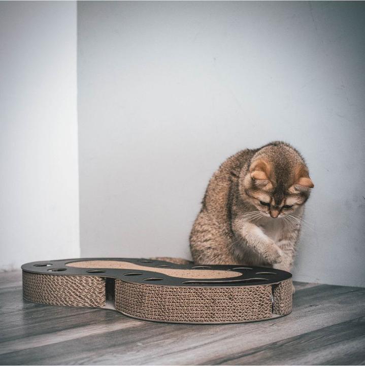 Actual product image District 70 District70 - SNAKE Scratching Black - (871720261381) (Cat ball toy)