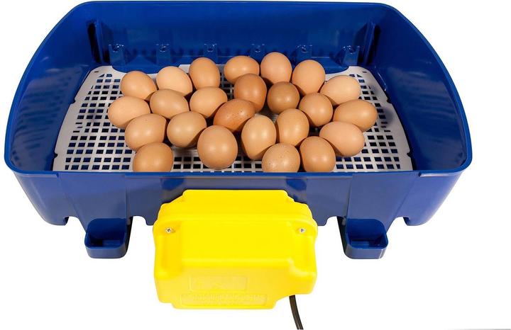 Actual product image Borotto Real 2 automatic incubator