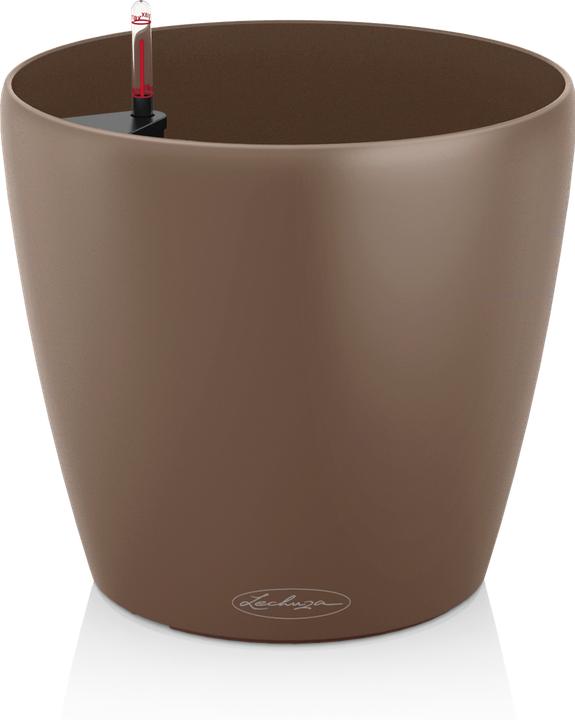 Image du produit Lechuza Classico Color (34.50 x 32.50 cm)