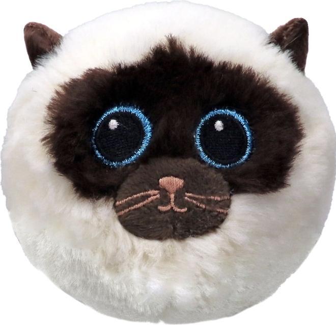 water blue eyes, creamy beige with brown markings and large
