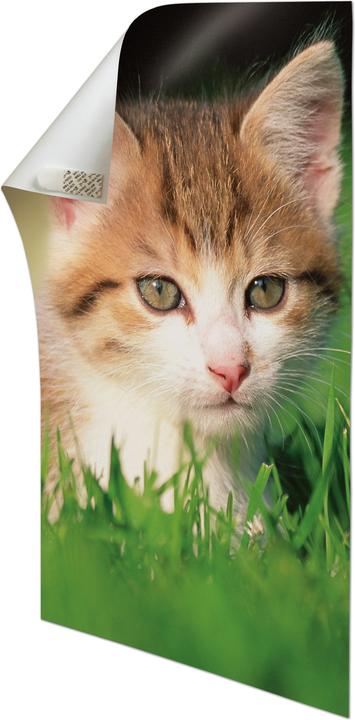 Immagine prodotto Command Strisce di poster (0.40 kg)