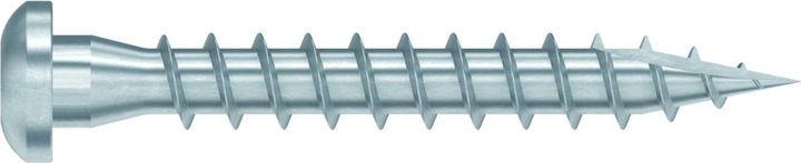Actual product image Simpson Sst Screws (200 pcs.)