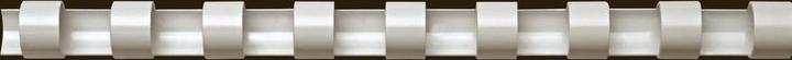 Actual product image Fellowes binder back, 14mm, 21 rings