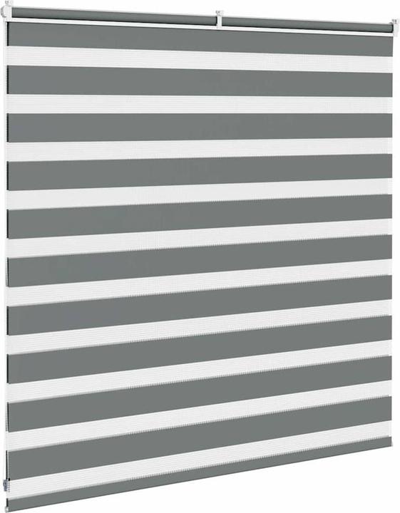 Produktbild vidaXL Zebra-Jalousie (145 x 100 cm)