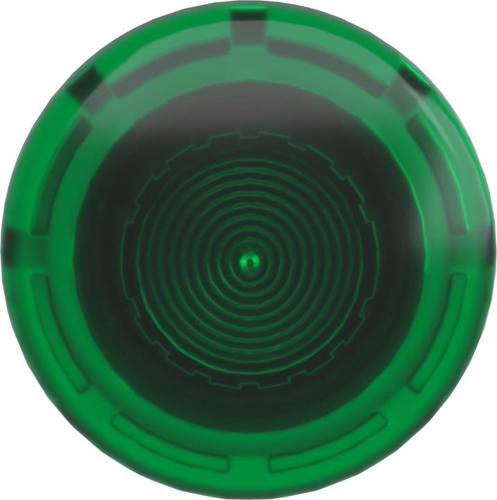 Actual product image Schneider Electric Green Mushroom Push Button Head for LED