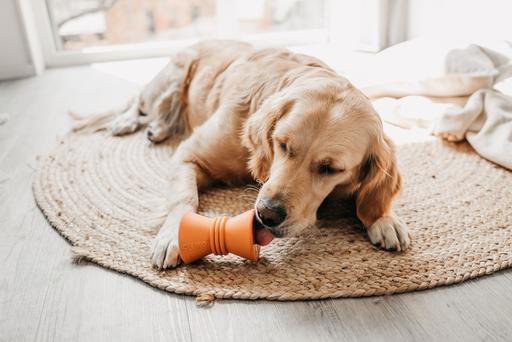 Immagine prodotto Beeztees Diabolo (Gioco da masticare per cani)