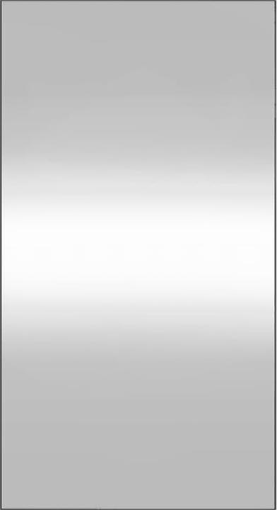 Immagine prodotto vidaXL Wandspiegel (50 x 100 cm)