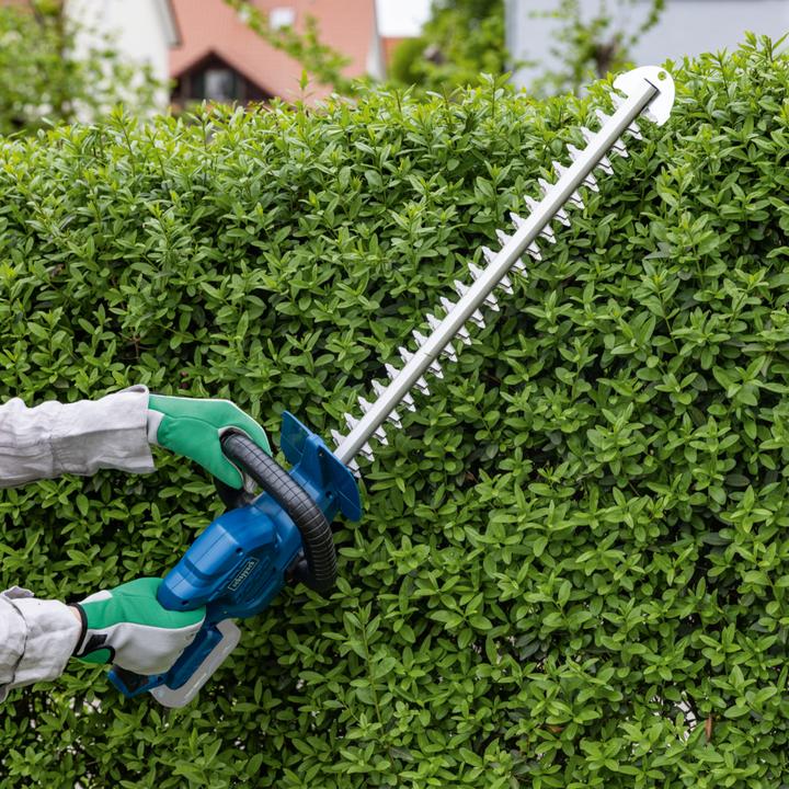 Actual product image Scheppach C-HT570-X