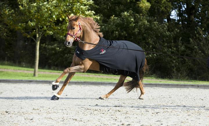 Produktbild Catago Merino