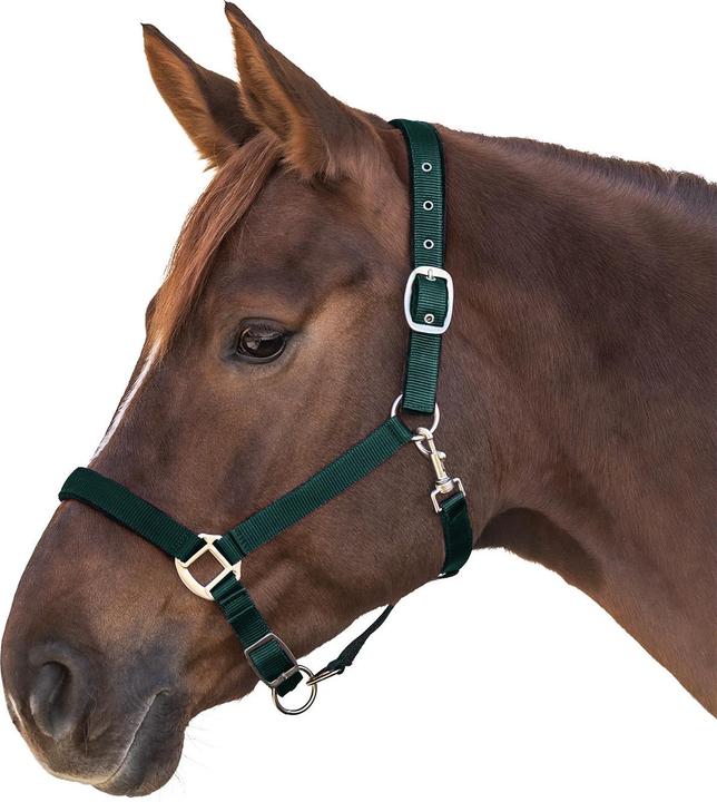 Verde pino