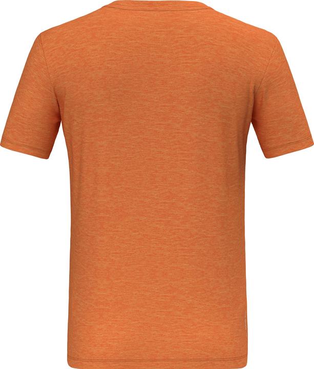 Actual product image Salewa Eagle Dotted Mountain Trainer Merino T-Shirt (M)