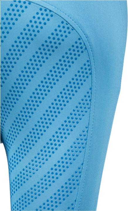 Produktbild Marengo Mesh-Reitleggings Elements Fullgrip Damen (XXL)