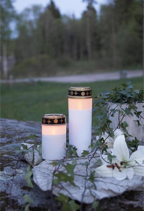 Immagine prodotto Star Trading Sereno (1 x)