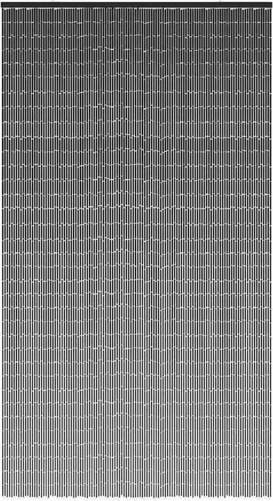 Produktbild vidaXL Türvorhang (120 x 220 cm)