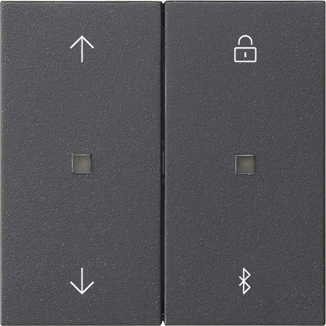 Gira, Zeitschaltuhr, S3000 Jal.- + Schaltuhr BT System 55 Anthrazit