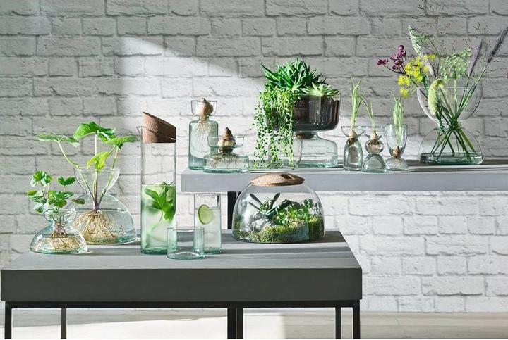 Image du produit LSA Canopy Vase H9.5cm - recy. Optik (1 x)